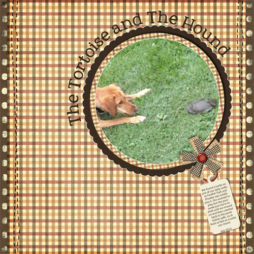 the-tortoise-&-the-hound