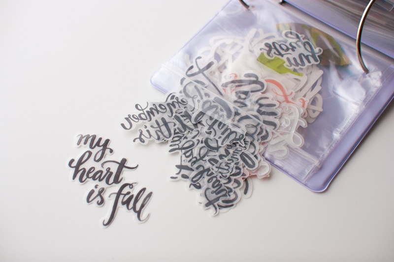 This Month | March 2019