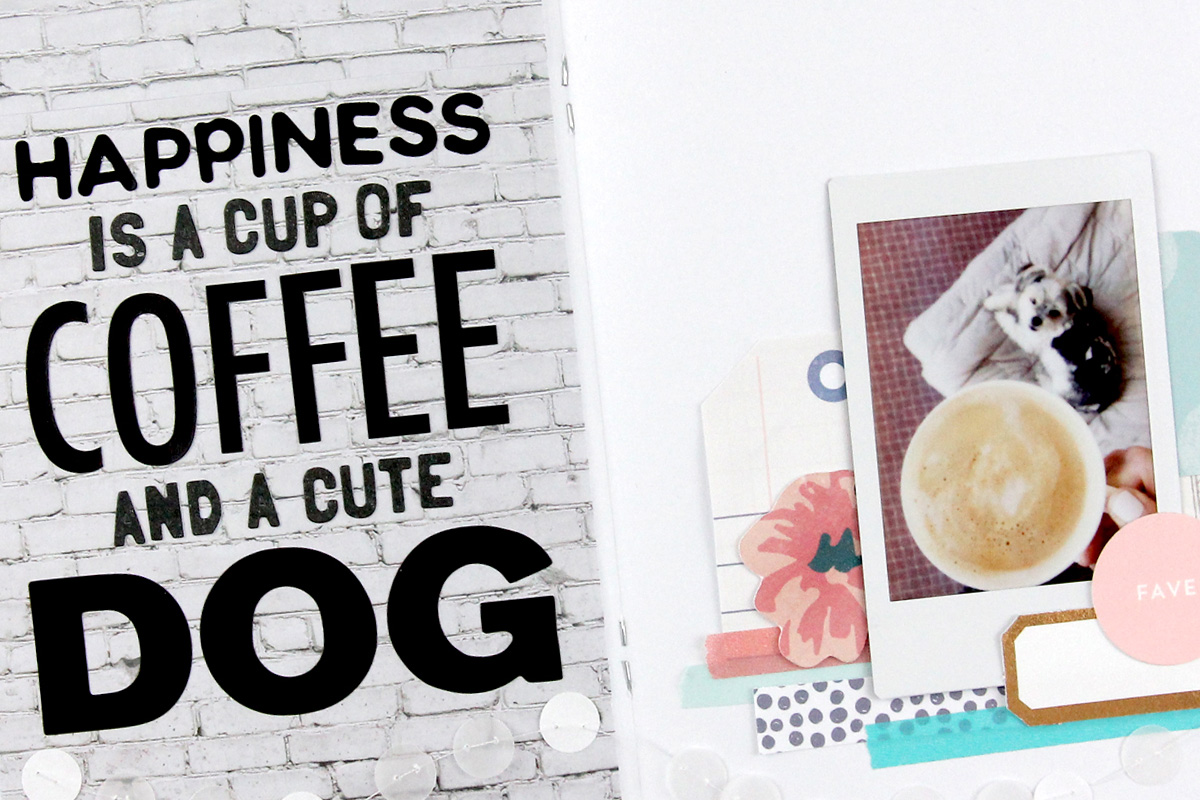 This Month | January 2019