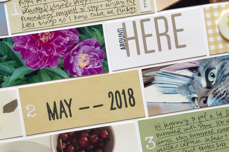 This Month | September 2019