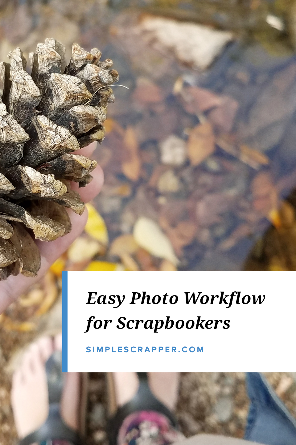 Your 5-Step Photo Workflow, from Smartphone to Scrapbook Page