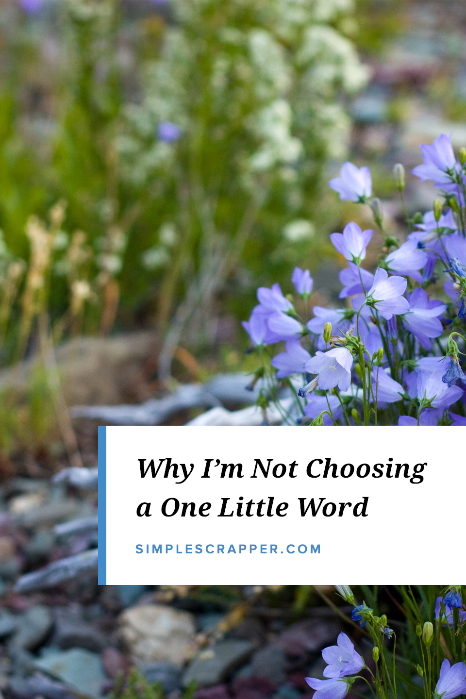 I have an idea that just might prevent disconnection from my chosen word, an idea that will better align with my needs over the course of a year. I'm going to opt-out of choosing one word.